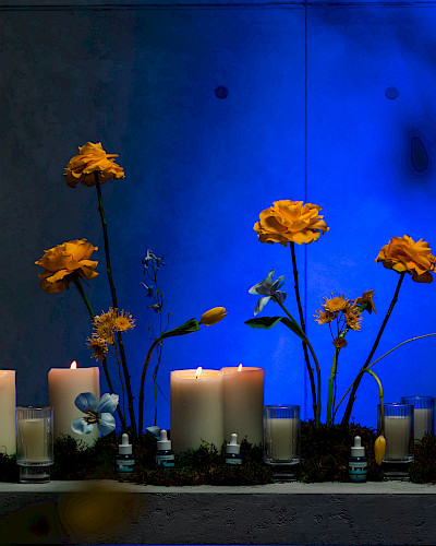 Вечер красоты и вдохновения